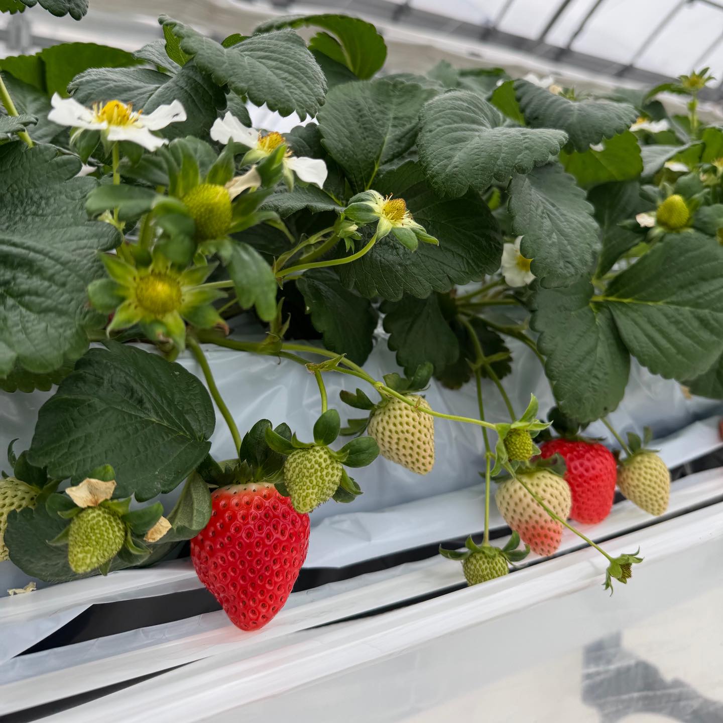 Instagramに投稿しました